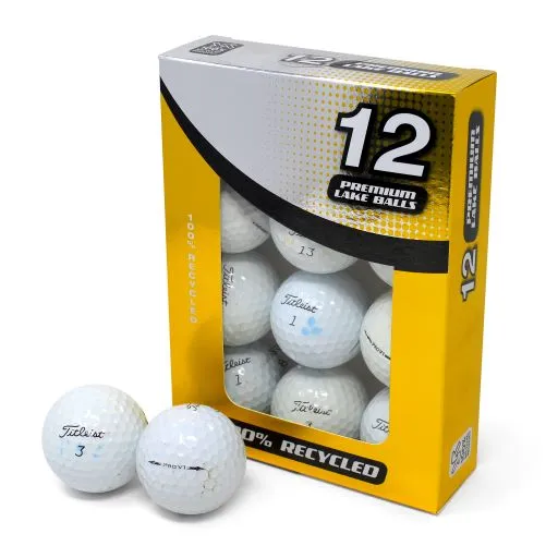 Titleist Pro V1 Grade B Recycled / Lake Golf Balls